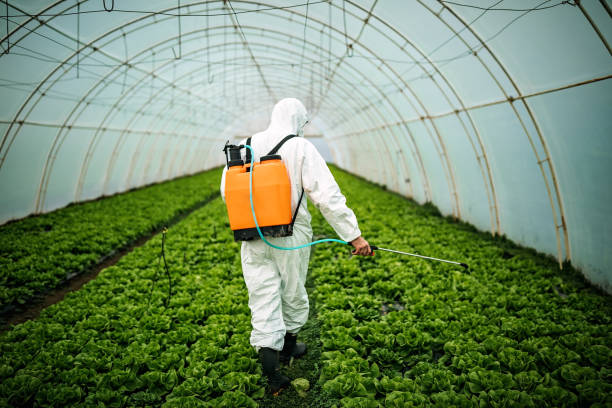 Best Best Pest Control Companies  in Osborne, KS