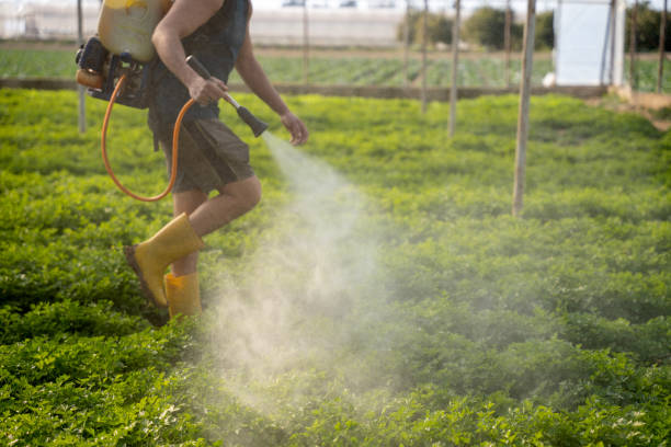 Best Local Pest Control Services  in Osborne, KS