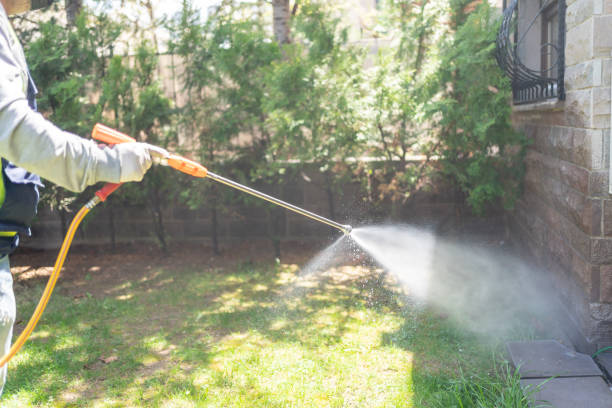 Best Termite Control Services  in Osborne, KS