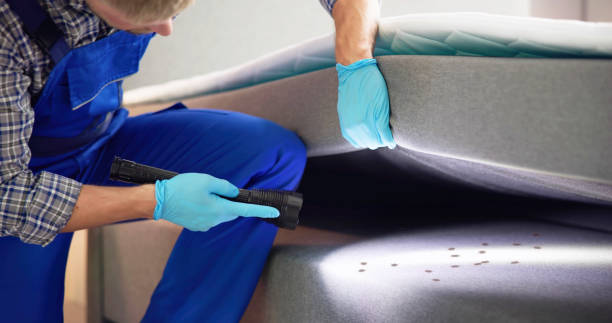 Best Pest Control for Homes  in Osborne, KS