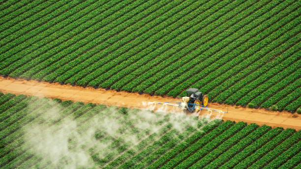 Professional Pest Control in Osborne, KS