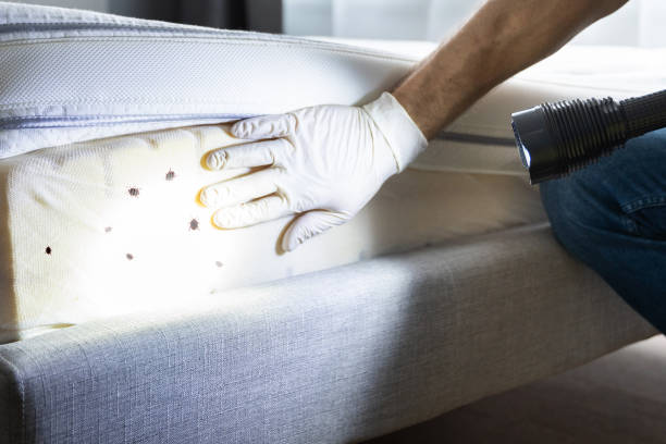 Best Mosquito Control Services  in Osborne, KS