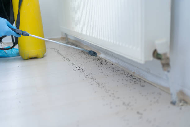 Insect Control in Osborne, KS
