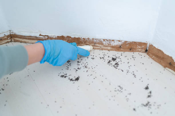 Pest Control Cost in Osborne, KS