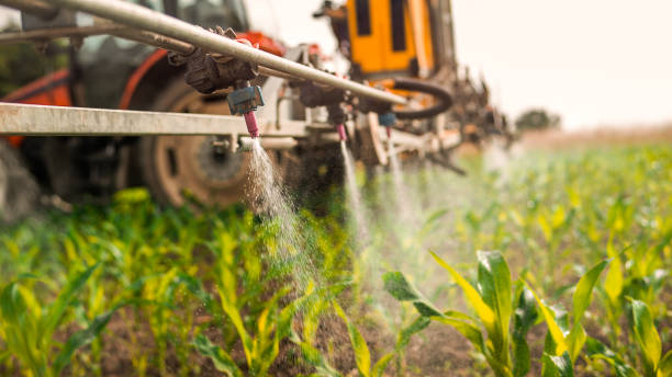 Best Best Pest Control Companies  in Osborne, KS
